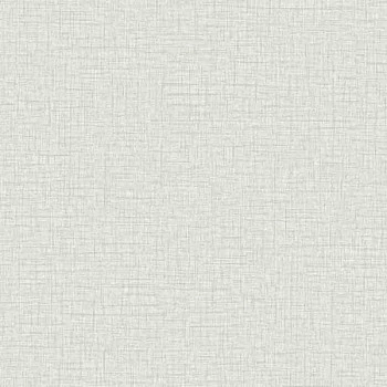 Papel de Parede Textura - Colorkey - COL1024 - Vinílico - TNT 
