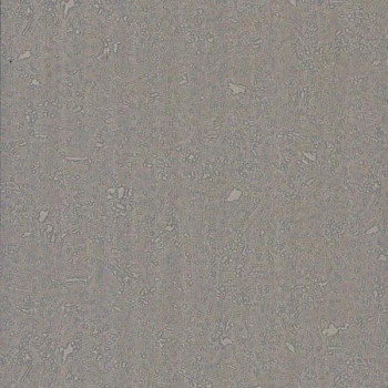 Papel de Parede Textura - Colorkey - COL1038 - Vinílico - TNT 