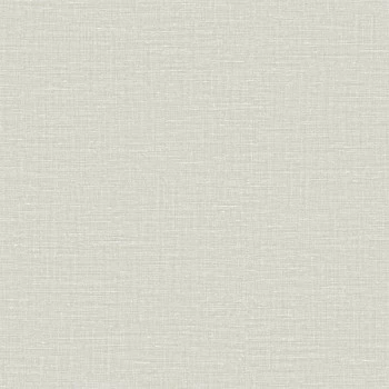 Papel de Parede Textura - Criativo 1 - CR333007R - Vinilíco