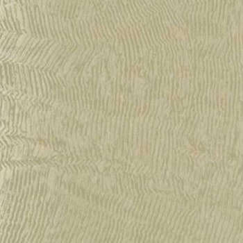Papel de parede Dimensional Effects -TD4709 -VINÍLICO - LAVÁVEL 