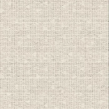 Papel de Parede Textura - Essencial - ESS1031 - Vinílico - TNT 