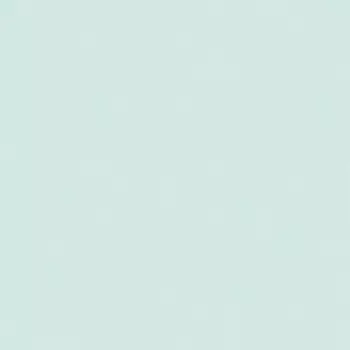 Papel de Parede Textura - Petit - F71874 - Non-Woven (TNT)