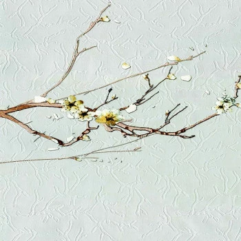 Papel de Parede Fiorenza - 8346 - VINÍLICO LAVÁVEL 