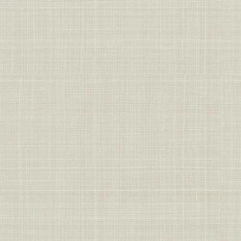 Papel de Parede Alta Gamma Evolution 2 - 20800 - VINÍLICO - LAVÁVEL 