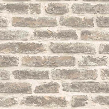 ROLL IN STONES J179-07  Papel de Parede Francês  Vinílico 