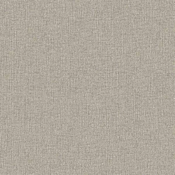 Papel de Parede Textura - Lin - JUN212 - Vinílico