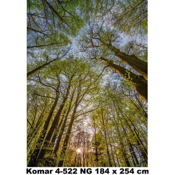 4-522 - Painel Fotográfico