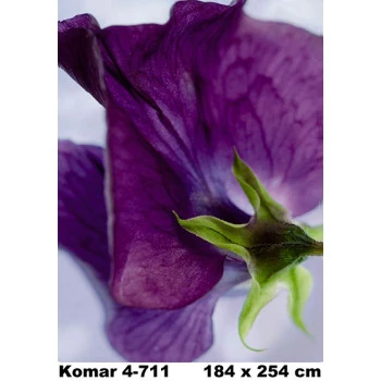 4-711 - Painel Fotográfico