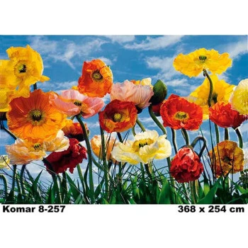 8-257 - Painel Fotográfico