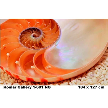 1-601 - Painel Fotográfico