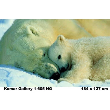 1-605 - Painel Fotográfico