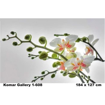 1-608 - Painel Fotográfico