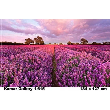 1-615 - Painel Fotográfico