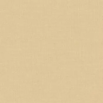 Papel de Parede Liso - Little Dreamers - LD1020 - Vinílico