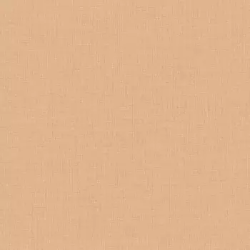 Papel de Parede Liso - Little Dreamers - LD1021 - Vinílico