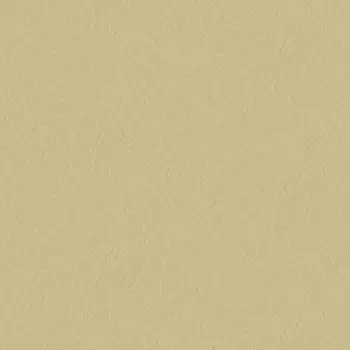 Papel de Parede Textura - Natural Color - MA160203 - Vinílico