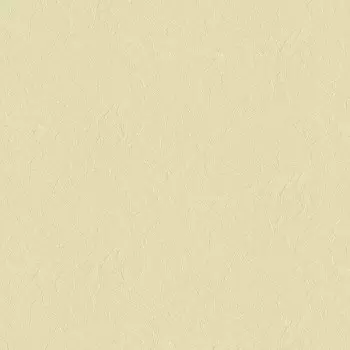 Papel de Parede Textura - Natural Color - MA160204 - Vinílico