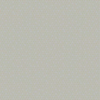 Papel de Parede 3D - Modern Maison - MM 558201 - TNT