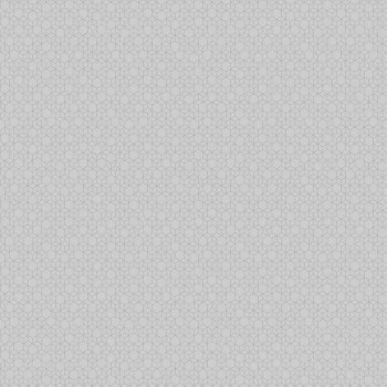 Papel de Parede 3D - Modern Maison - MM 558204 - TNT