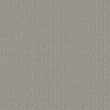 Papel de Parede 3D - Modern Maison - MM 558205 - TNT
