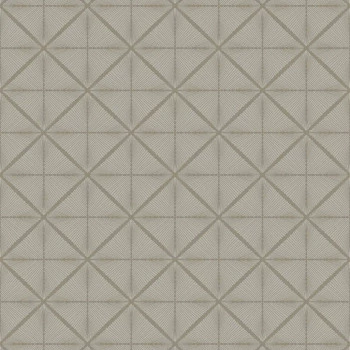 Papel de Parede Geométrico - Modern Maison - MM 558303 - TNT