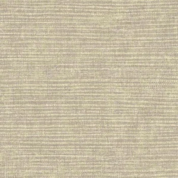 Papel de Parede Modern Shapes - MS6505 - VINÍLICO LAVÁVEL 