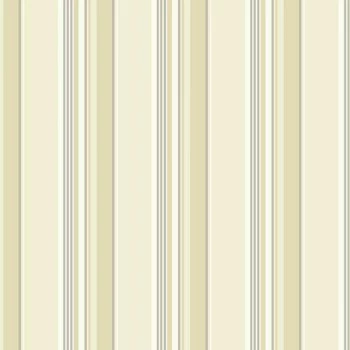 Papel de Parede Modern Shapes - MS6516 - VINÍLICO LAVÁVEL 