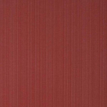 Feature Wall NB530509 Papel de Parede Americano Vinílico Lavável 