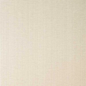 Feature Wall NB530510 Papel de Parede Americano Vinílico Lavável 