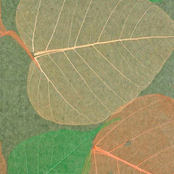 Palha Nature at Home - y204