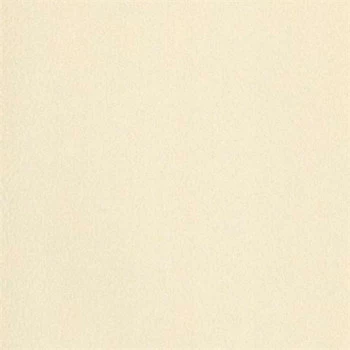 Rustic Country PA130505 Papel de Parede Americano Vinílico Lavável 