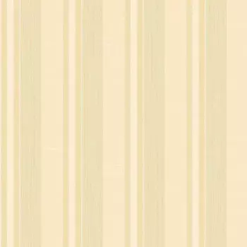 Papel de Parede Listrado - Palazzo 2 - G67622 - Vinílico