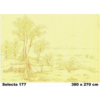 177- Painel Fotográfico