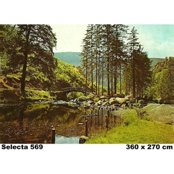 569 - Painel Fotográfico