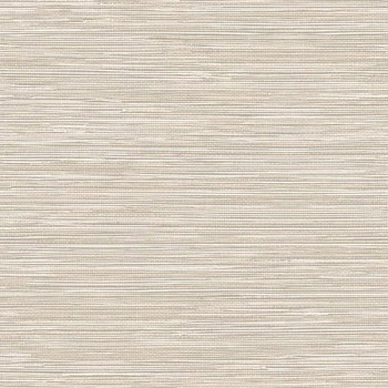 Papel de Parede Palha - Namur - TA25040 - Vinílico