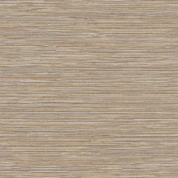Papel de Parede Palha - Namur - TA25041 - Vinílico