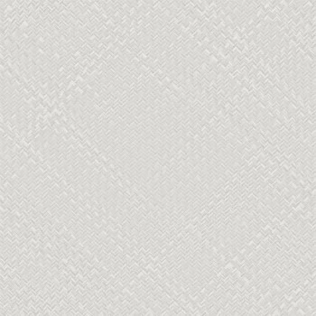 Papel de Parede Palha - Tramas - TR-4004 - Vinílico