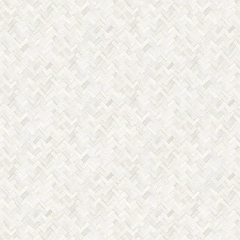 Papel de Parede Palha - Tramas - TR-4005 - Vinílico