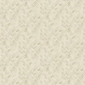 Papel de Parede Palha - Tramas - TR-4015 - Vinílico