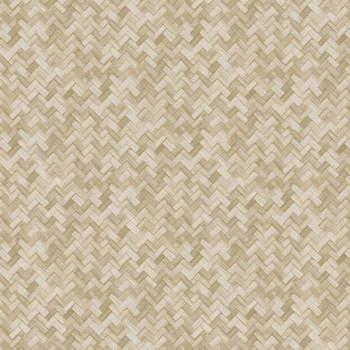 Papel de Parede Palha - Tramas - TR-4030 - Vinílico