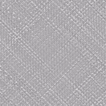 Papel de Parede Palha - Tramas - TR-4036 - Vinílico