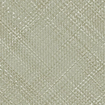 Papel de Parede Palha - Tramas - TR-4050 - Vinílico