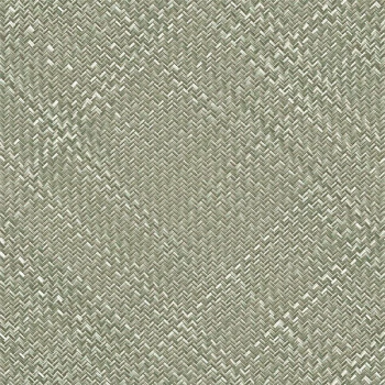 Papel de Parede Palha - Tramas - TR-4051 - Vinílico