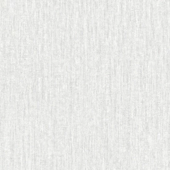 Papel de Parede Textura - Tramas - TR-4053 - Vinílico
