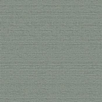 Papel de Parede Textura - Texture 2 - TX-2007 - Vinílico