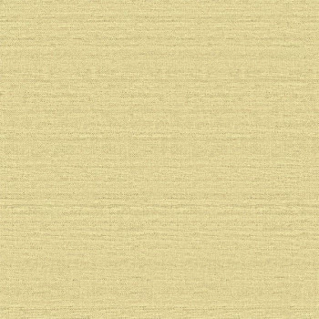 Papel de Parede Textura - Texture 2 - TX-2009 - Vinílico