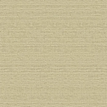 Papel de Parede Textura - Texture 2 - TX-2010 - Vinílico
