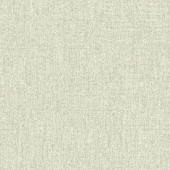 Papel de Parede Textura - Texture 2 - TX-2020 - Vinílico