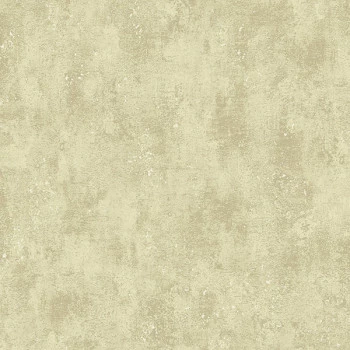 Papel de Parede Cimento Queimado - Texture 2 - TX-2040 - Vinílico