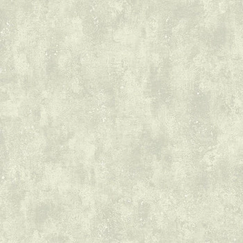 Papel de Parede Cimento Queimado - Texture 2 - TX-2042 - Vinílico